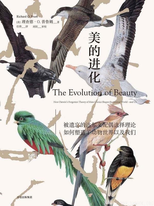 《美的进化》[美]理查德·O. 普鲁姆（Richard O. Prum）【文字版_PDF电子书_下载】
